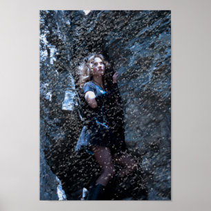 Póster Alicia en una tormenta de nieve