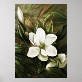 Póster Alicia H. Laird: Magnolia Grandflora