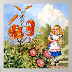 Póster Alicia se encuentra hablando de flores en el país 
