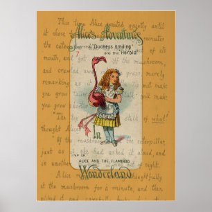 Póster Alicia y el flamenco