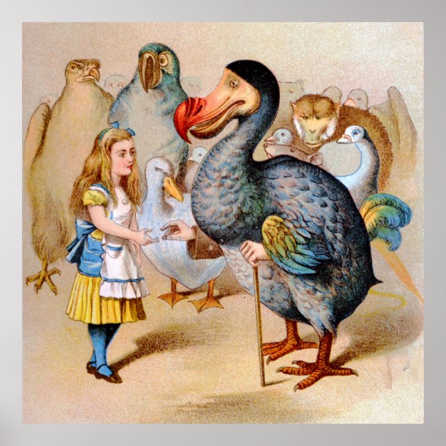 Póster Alicia y el pájaro Dodo en el país de las maravill (Frente)
