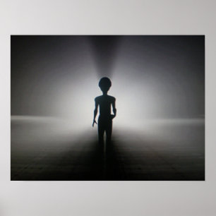 Póster Alien