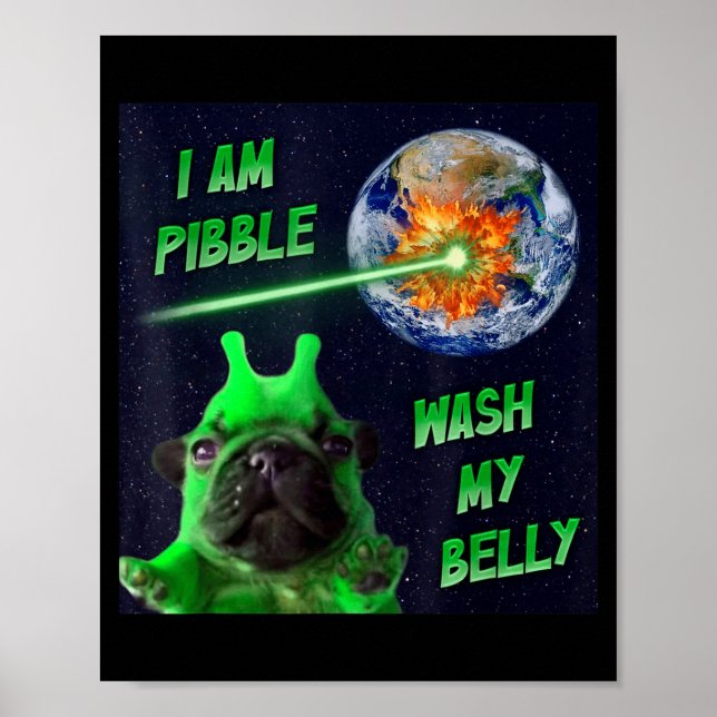 Póster Alien Bble Funny Brainrot Dog Meme Space I Am Bble (Frente)