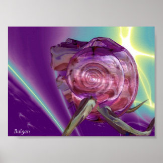Póster ALIEN NEREIDE/NYMPH OF Water,PINK SEASHELL Sci-Fi