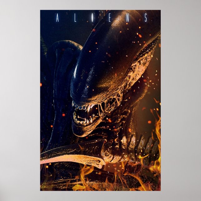 Póster Aliens  Movie (Frente)