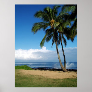 Póster Ali'i Beach 19