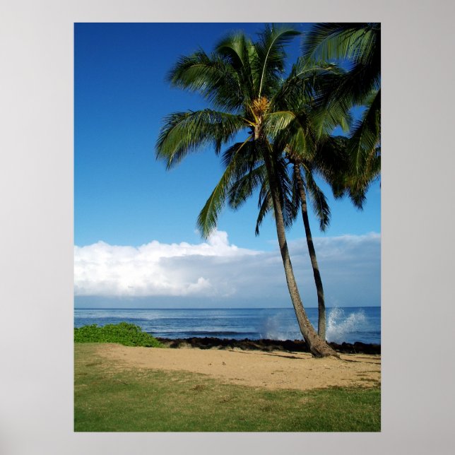 Póster Ali'i Beach 19 (Frente)
