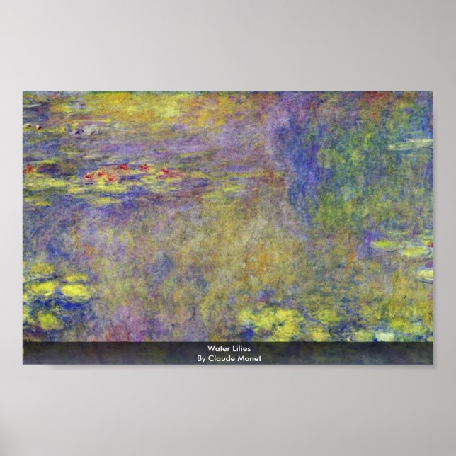 Póster Alilides De Agua De Claude Monet (Frente)