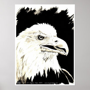 Póster Alimentación