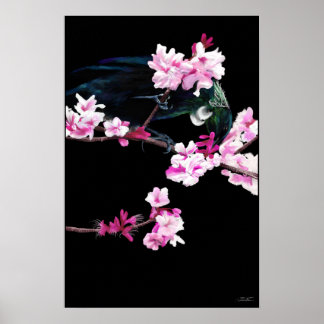 Póster Alimentación de aves tui en flores de cerezo - (GR