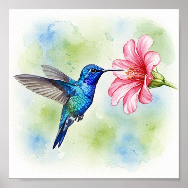 Póster Alimentación del colibrí (Frente)