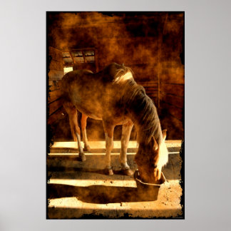 Póster Alimento de caballos Palomino Pinto en granero