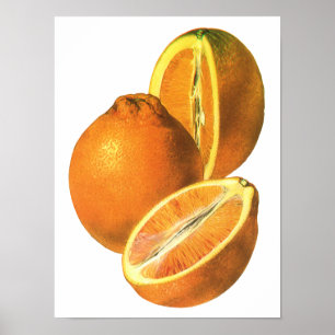 Póster Alimentos antiguos, naranjas frescas saludables or