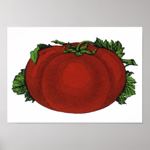 Póster Alimentos Antiguos, Tomate Maduro, Verduras y Frut