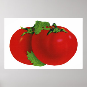 Póster Alimentos de cosecha, tomate eritreo orgánico de m