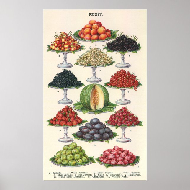 Póster Alimentos de la vieja época: fruta divertida en ba (Frente)