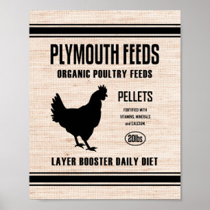 PÓSTER ALIMENTOS DE PLIMOLUCIÓN