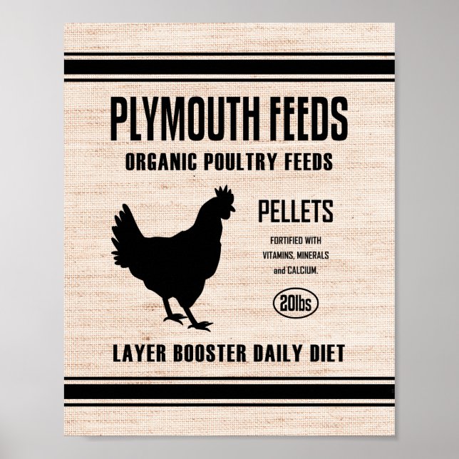 PÓSTER ALIMENTOS DE PLIMOLUCIÓN (Frente)