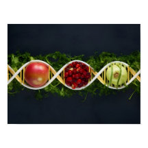 Alimentos modificados genéticamente y cultivos mod