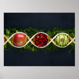 Póster Alimentos modificados genéticamente y cultivos mod