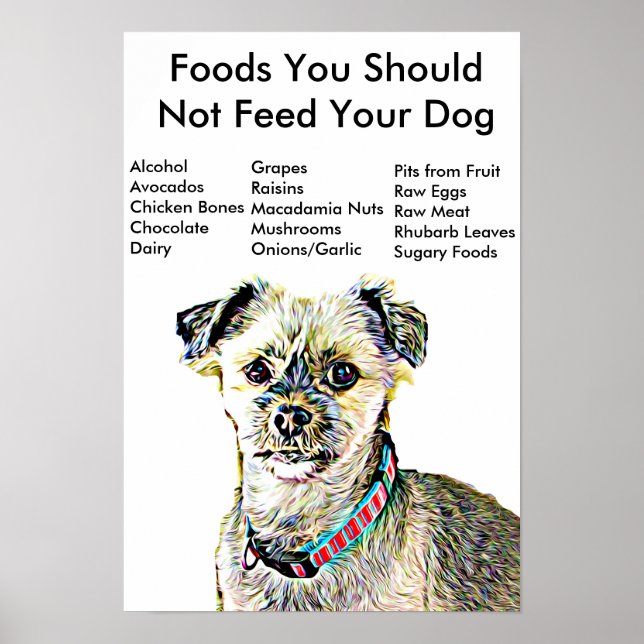 Póster Alimentos No Debe Alimentar A Su Poster Perro (Frente)
