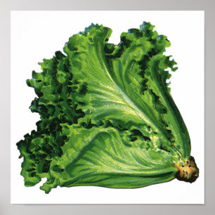 Póster Alimentos para la cosecha, hortalizas de hojas ver