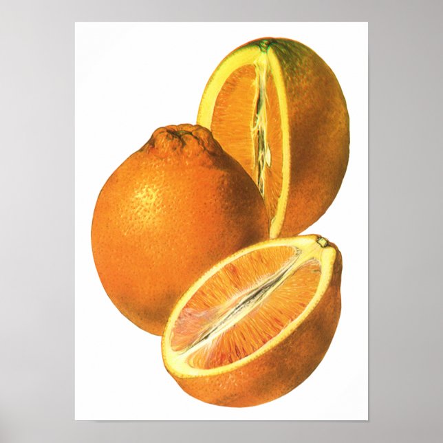 Póster Alimentos para la cosecha, Naranjas recién sanos o (Frente)