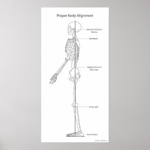 Póster Alineación apropiada del cuerpo