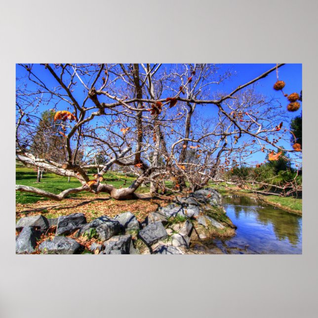 Póster Aliso Creek, Naranja County California (Frente)