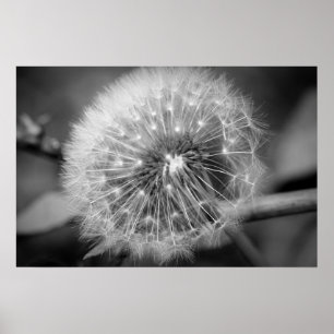 Póster ¡Aliste para sacan!!!