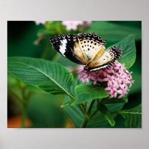 Póster Alitas de leopardo pequeñas estampadas