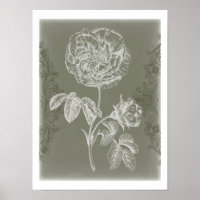 Alivio floral I