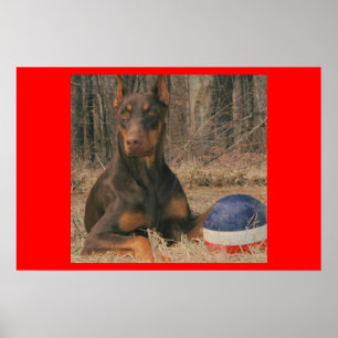 Póster All American Ball Player