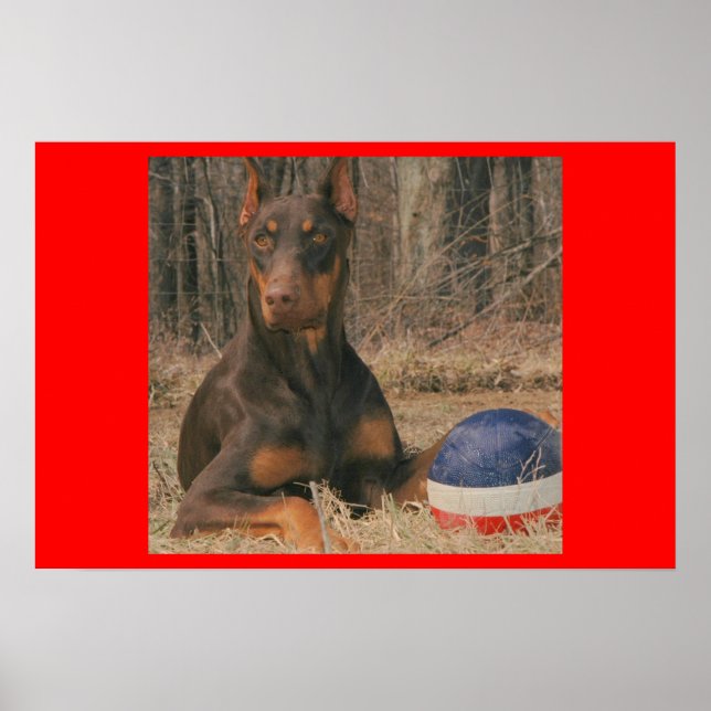 Póster All American Ball Player (Frente)