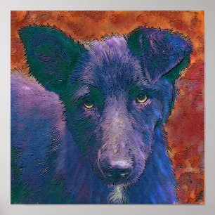 Póster all american mutt