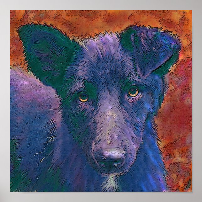 Póster all american mutt (Frente)