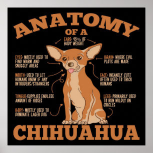 Póster All You Need   Chihuahua Dog   Chihuahua Lover