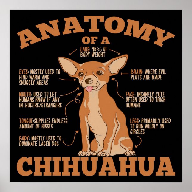 Póster All You Need | Chihuahua Dog | Chihuahua Lover (Frente)