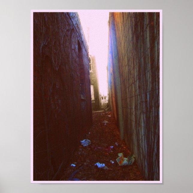 Póster Alley (Frente)