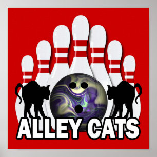 Póster Alley Cats