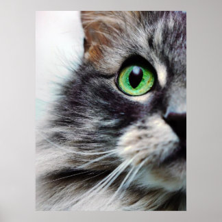 Póster Allie (media cara)