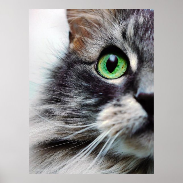 Póster Allie (media cara) (Frente)