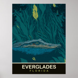 Póster Alligador en Everglades, Florida, Viajes