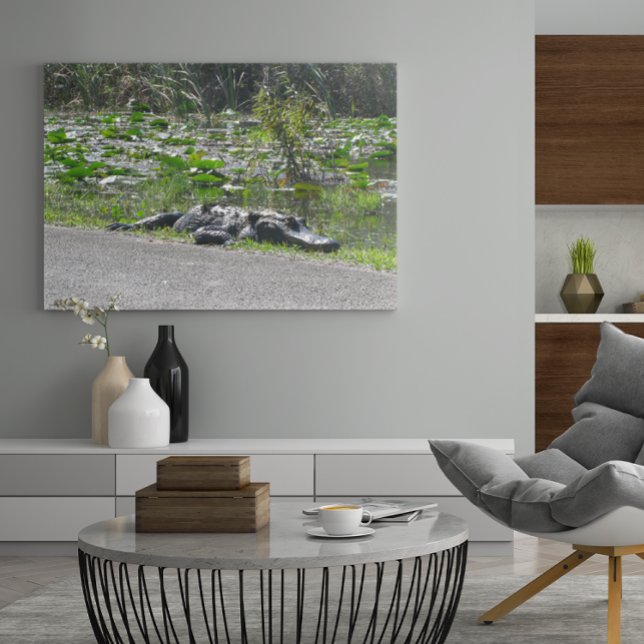 Póster Alligator en el callejón del lagarto, Fl (Subido por el creador)