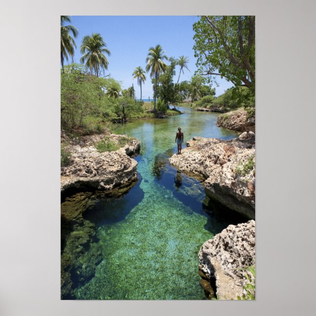 Póster Alligator Hole, Black River Town, Jamaica (Frente)