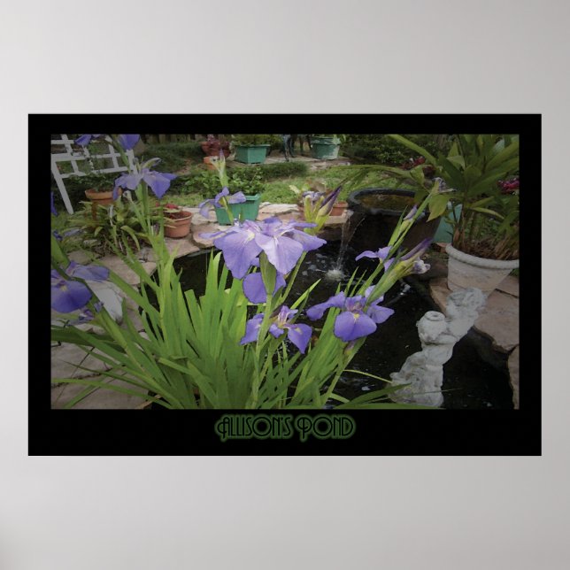 Póster "Allison's Pond" - Imprimir (Frente)