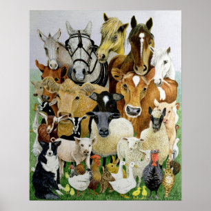 Póster Allsorts animal