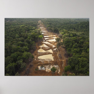 Póster Alluvial Gold Mining. Rainforest, Guyana.