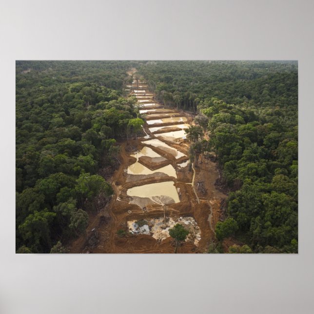Póster Alluvial Gold Mining. Rainforest, Guyana. (Frente)