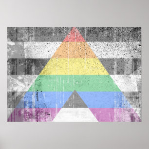 Póster ALLY FLAG DISTRESSED -.png